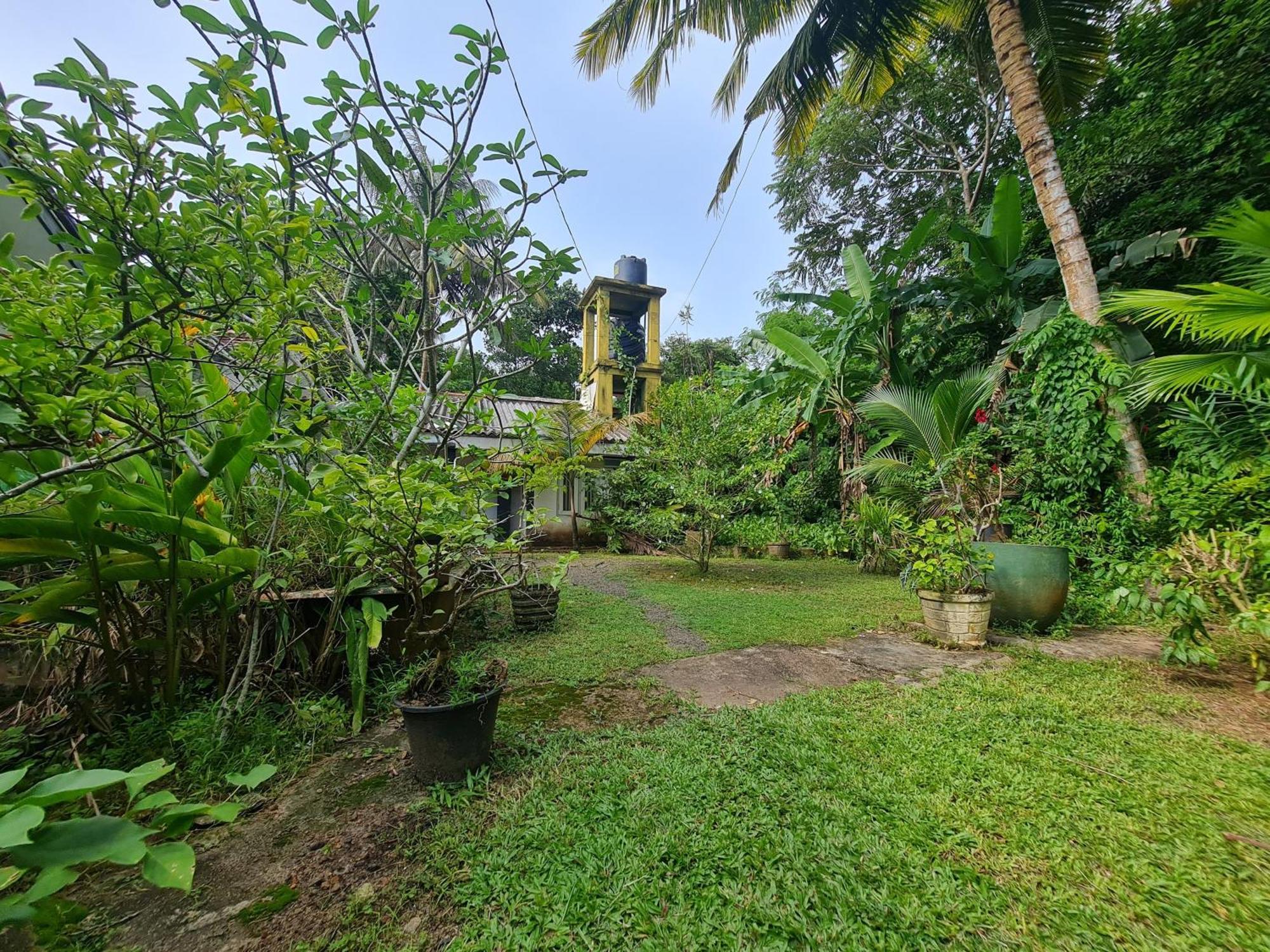 Hill Side Kings Villa Хиккадува Экстерьер фото