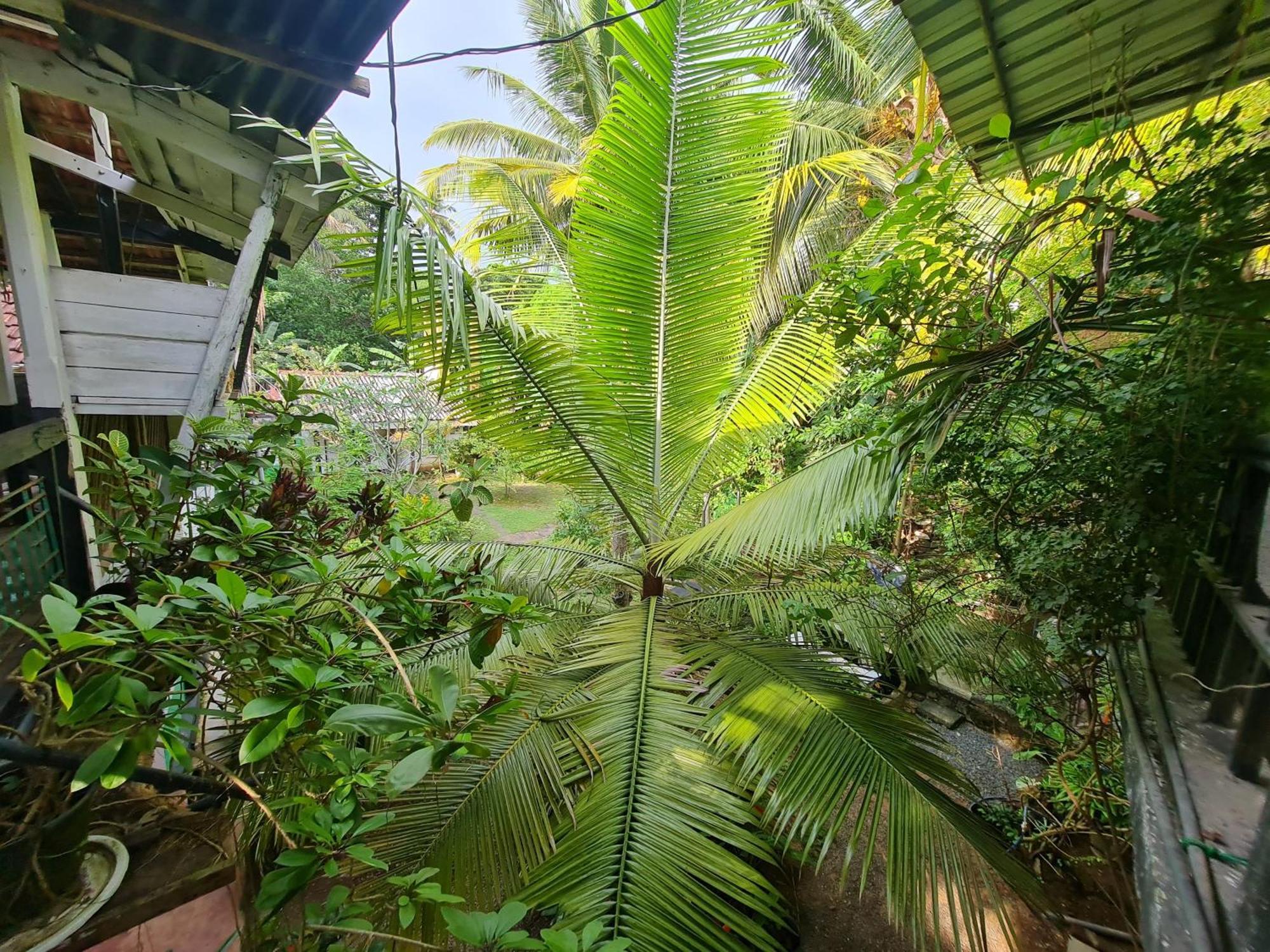 Hill Side Kings Villa Хиккадува Экстерьер фото