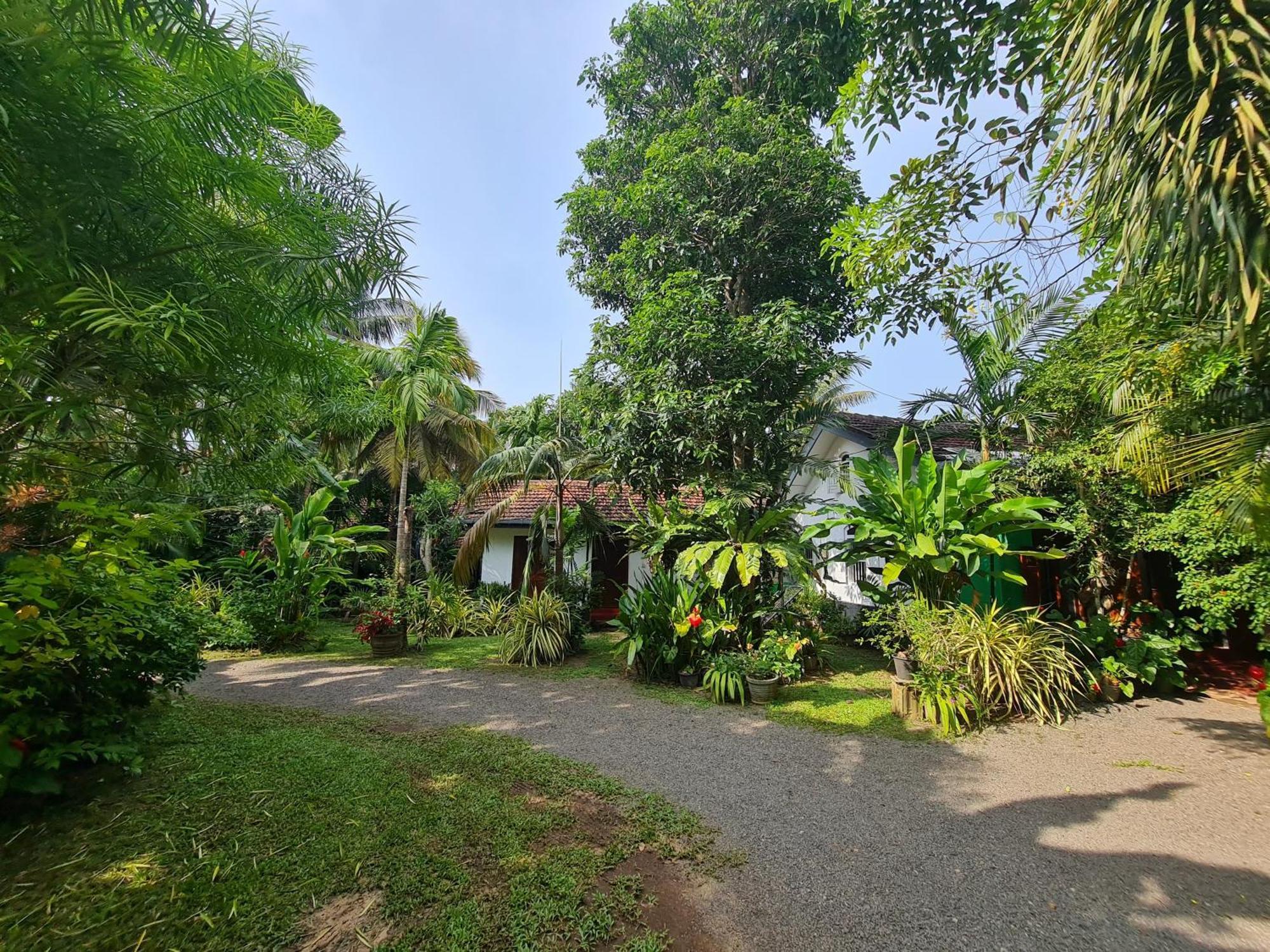 Hill Side Kings Villa Хиккадува Экстерьер фото