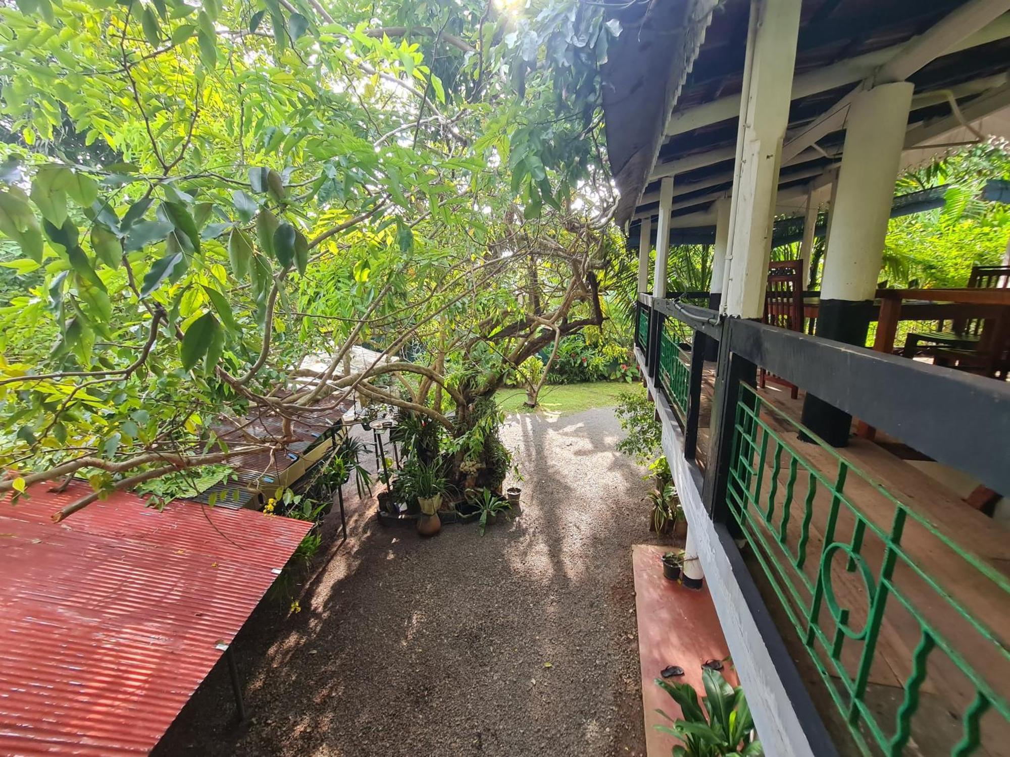 Hill Side Kings Villa Хиккадува Экстерьер фото