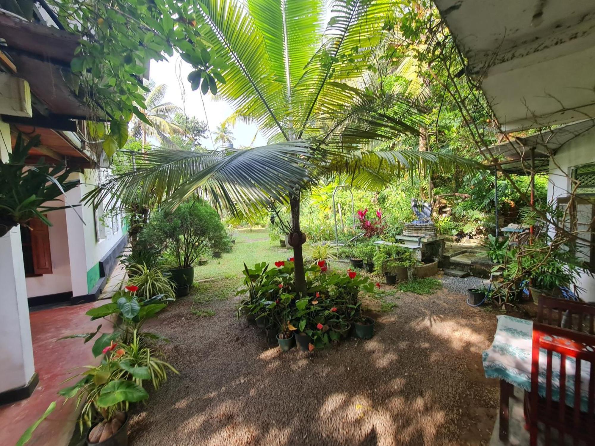 Hill Side Kings Villa Хиккадува Экстерьер фото