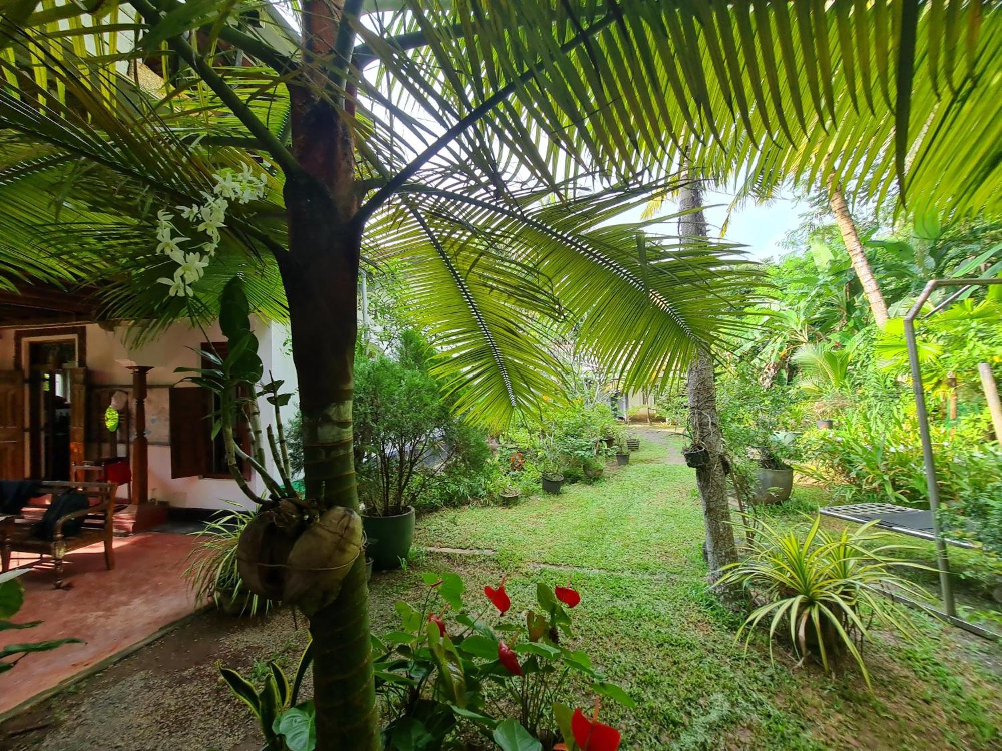 Hill Side Kings Villa Хиккадува Экстерьер фото