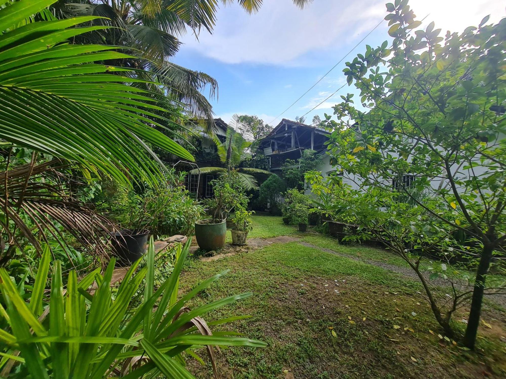 Hill Side Kings Villa Хиккадува Экстерьер фото