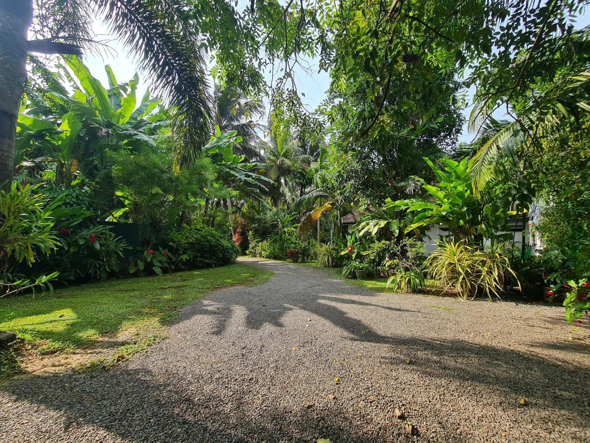 Hill Side Kings Villa Хиккадува Экстерьер фото