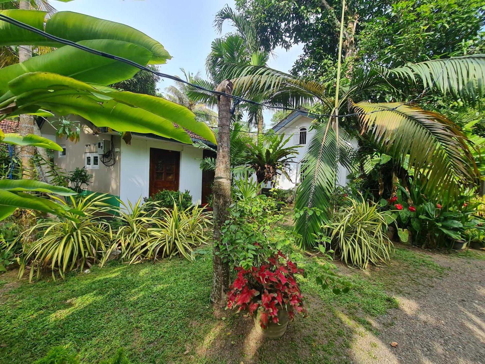 Hill Side Kings Villa Хиккадува Экстерьер фото
