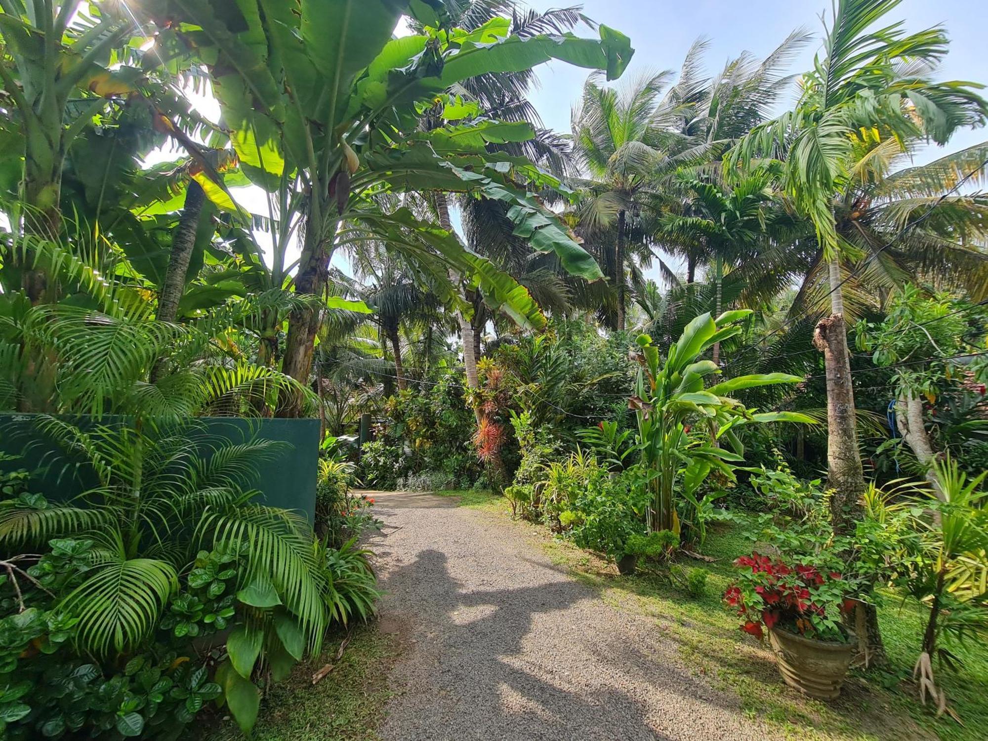 Hill Side Kings Villa Хиккадува Экстерьер фото