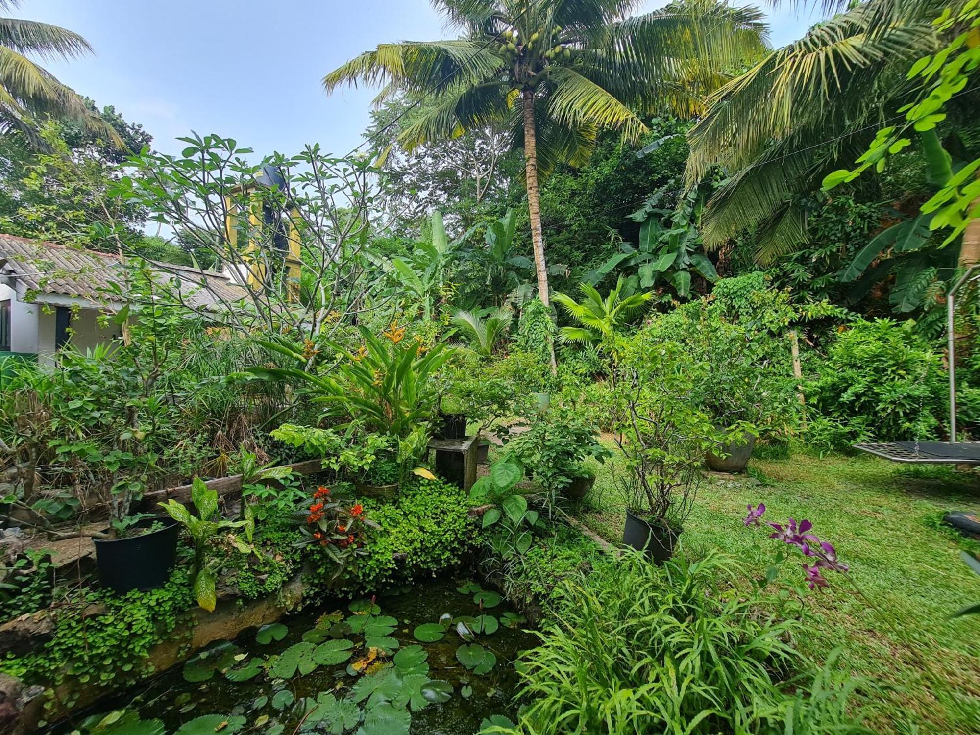 Hill Side Kings Villa Хиккадува Экстерьер фото